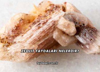Zeolit Faydaları Nelerdir?