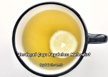 Zerdeçal Çayı Faydaları Nelerdir?