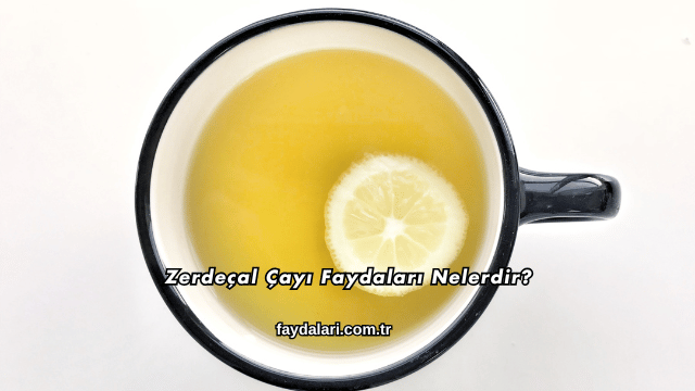 Zerdeçal Çayı Faydaları Nelerdir?