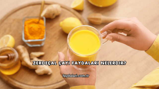 Zerdeçal Çayı Faydaları Nelerdir?