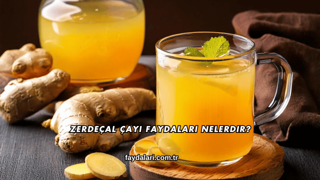 Zerdeçal Çayı Faydaları Nelerdir?