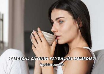 Zerdeçal Çayının Faydaları Nelerdir?