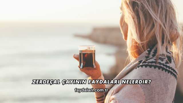 Zerdeçal Çayının Faydaları Nelerdir?