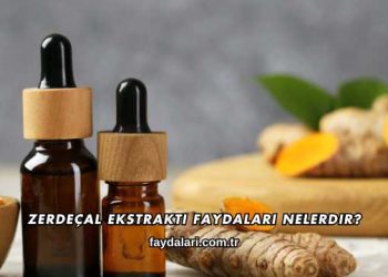Zerdeçal Ekstraktı Faydaları Nelerdir?