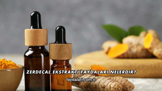 Zerdeçal Ekstraktı Faydaları Nelerdir?