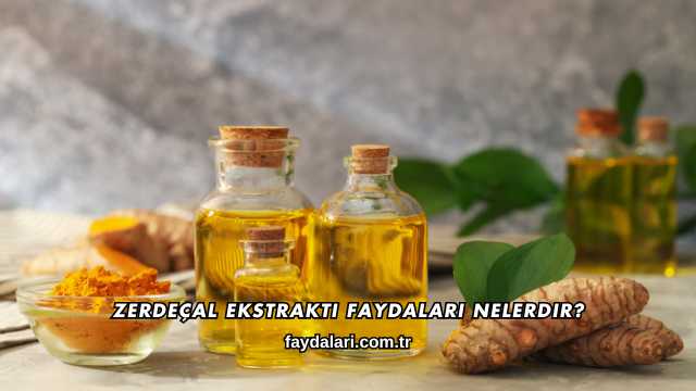 Zerdeçal Ekstraktı Faydaları Nelerdir?