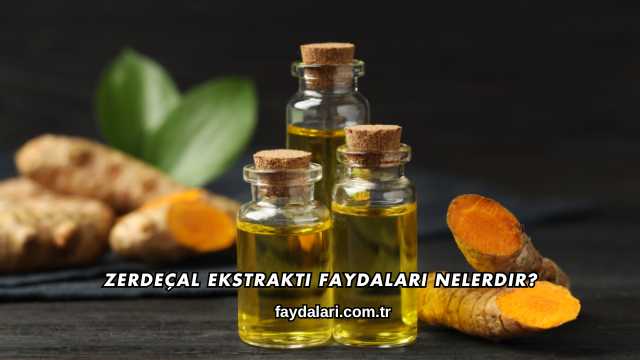 Zerdeçal Ekstraktı Faydaları Nelerdir?