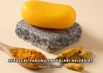 Zerdeçal Sabunu Faydaları Nelerdir?