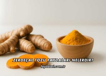 Zerdeçal Tozu Faydaları Nelerdir?