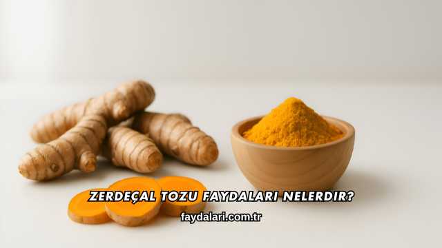 Zerdeçal Tozu Faydaları Nelerdir?