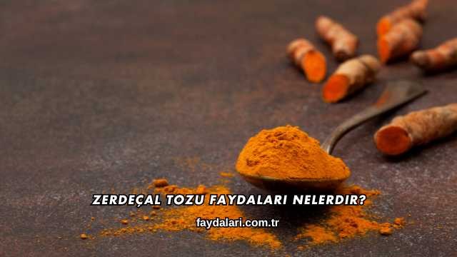 Zerdeçal Tozu Faydaları Nelerdir?