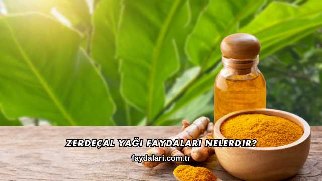 Zerdeçal Yağı Faydaları Nelerdir?