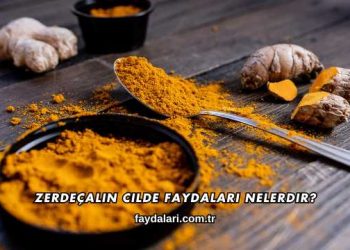 Zerdeçalın Cilde Faydaları Nelerdir?