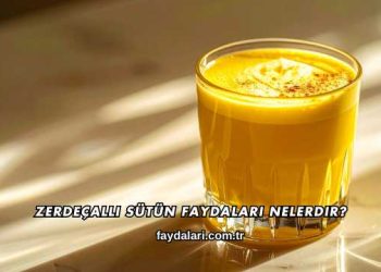 Zerdeçallı Sütün Faydaları Nelerdir?