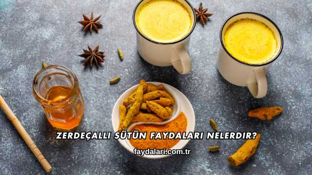 Zerdeçallı Sütün Faydaları Nelerdir?