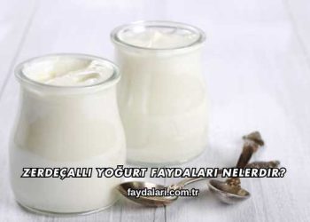 Zerdeçallı Yoğurt Faydaları Nelerdir?