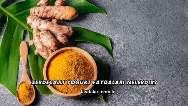 Zerdeçallı Yoğurt Faydaları Nelerdir?