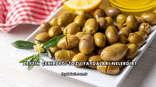 Zeytin Çekirdeği Tozu Faydaları Nelerdir?
