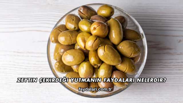 Zeytin Çekirdeği Yutmanın Faydaları Nelerdir?