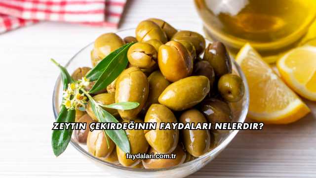 Zeytin Çekirdeğinin Faydaları Nelerdir?