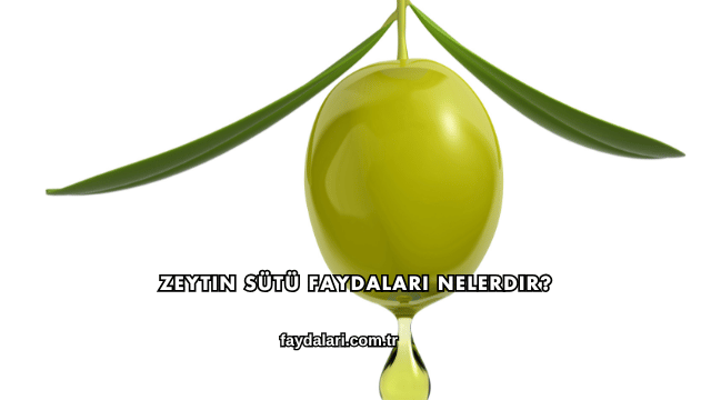 Zeytin Sütü Faydaları Nelerdir?