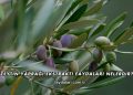 Zeytin Yaprağı Ekstraktı Faydaları Nelerdir?