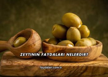 Zeytinin Faydaları Nelerdir?