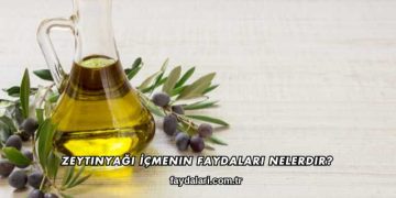 Zeytinyağı İçmenin Faydaları Nelerdir?