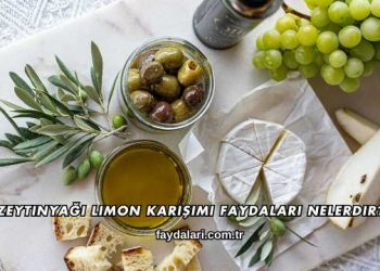 Zeytinyağı Limon Karışımı Faydaları Nelerdir?