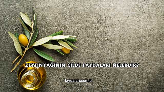 Zeytinyağının Cilde Faydaları Nelerdir?