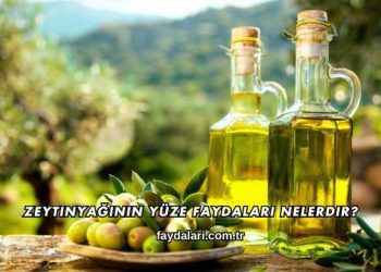 Zeytinyağının Yüze Faydaları Nelerdir?