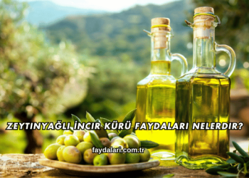 Zeytinyağlı İncir Kürü Faydaları Nelerdir?