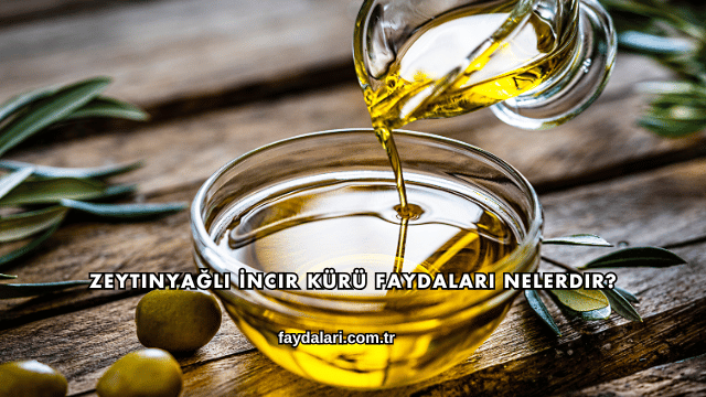 Zeytinyağlı İncir Kürü Faydaları Nelerdir?