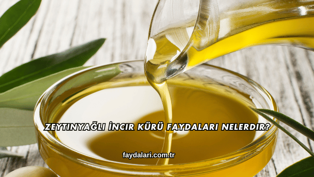 Zeytinyağlı İncir Kürü Faydaları Nelerdir?