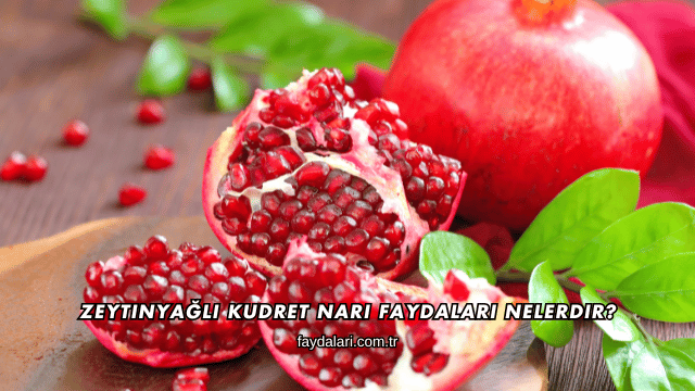 Zeytinyağlı Kudret Narı Faydaları Nelerdir?
