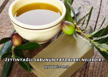 Zeytinyağlı Sabunun Faydaları Nelerdir?