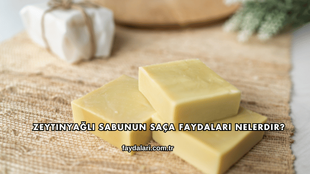 Zeytinyağlı Sabunun Saça Faydaları Nelerdir?