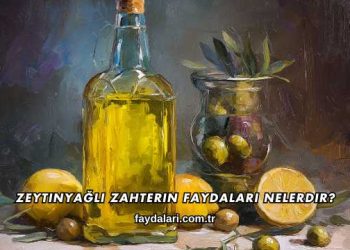 Zeytinyağlı Zahterin Faydaları Nelerdir?