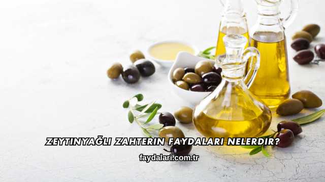 Zeytinyağlı Zahterin Faydaları Nelerdir?
