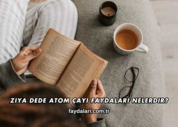 Ziya Dede Atom Çayı Faydaları Nelerdir?