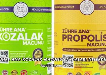 Zühre Ana Kozalak Macunu Faydaları Nelerdir?