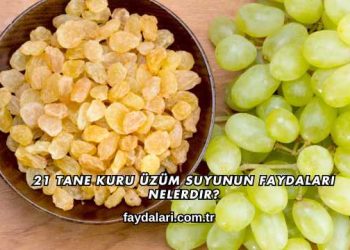 21 Tane Kuru Üzüm Suyunun Faydaları Nelerdir?