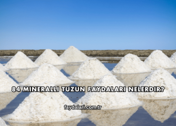 84 Mineralli Tuzun Faydaları Nelerdir?