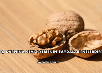Aç Karnına Ceviz Yemenin Faydaları Nelerdir?