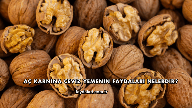 Aç Karnına Ceviz Yemenin Faydaları Nelerdir?