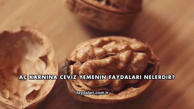 Aç Karnına Ceviz Yemenin Faydaları Nelerdir?