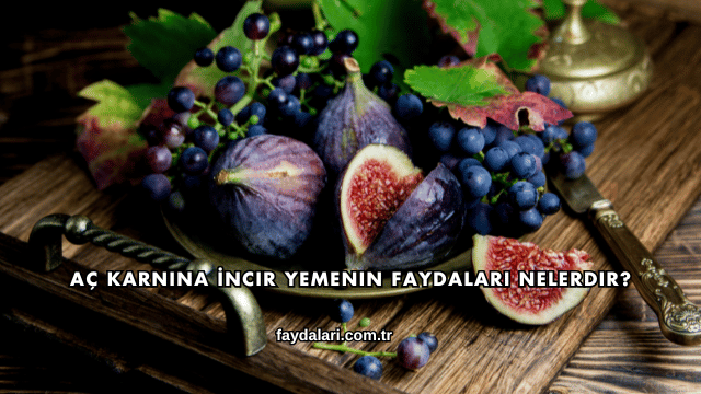 Aç Karnına İncir Yemenin Faydaları Nelerdir?