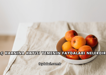 Aç Karnına Kayısı Yemenin Faydaları Nelerdir?