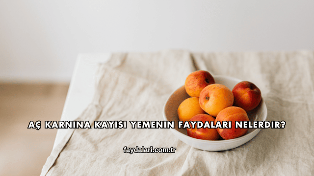 Aç Karnına Kayısı Yemenin Faydaları Nelerdir?