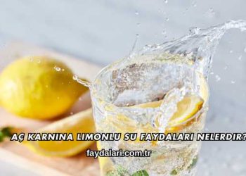 Aç Karnına Limonlu Su Faydaları Nelerdir?